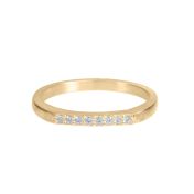 Talisa Delicate Diamond Ring [14 Karat Yellow Gold]