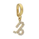 With Zodiac Charms