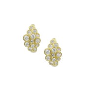 Beautiful Bundle Earrings [18K Gold]