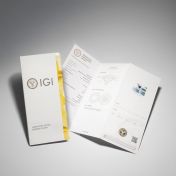 Cherished Spot Engraved Map Necklace With 1 Ct Diamond [18K Gold Plated]