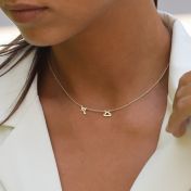 Helena Zodiac Necklace [14 Karat Gold]