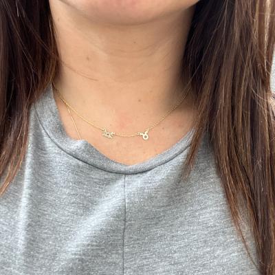 Helena Zodiac Necklace [14 Karat Gold]