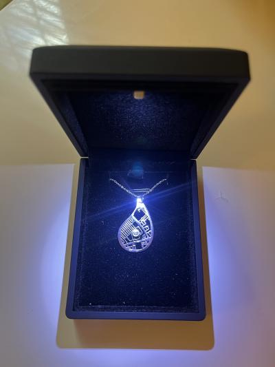 Threads Of Life Map Necklace [14 Karat White Gold]