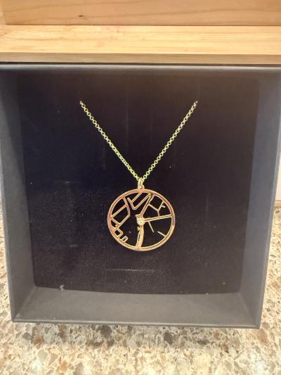 Threads Of Life Map Necklace [14 Karat White Gold]